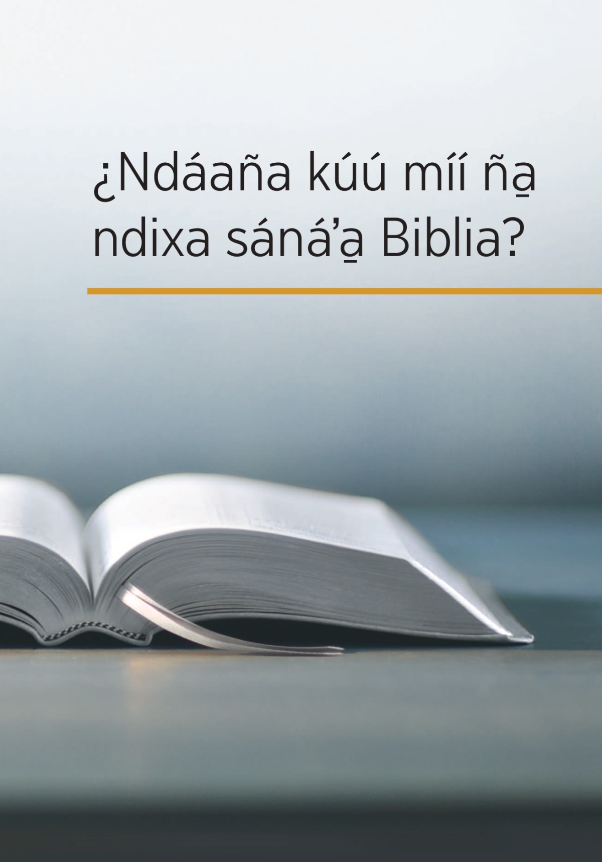 Ña̱ libro ¿Ndáaña kúú mií ña̱ ndixa sánáʼa̱ Biblia?
