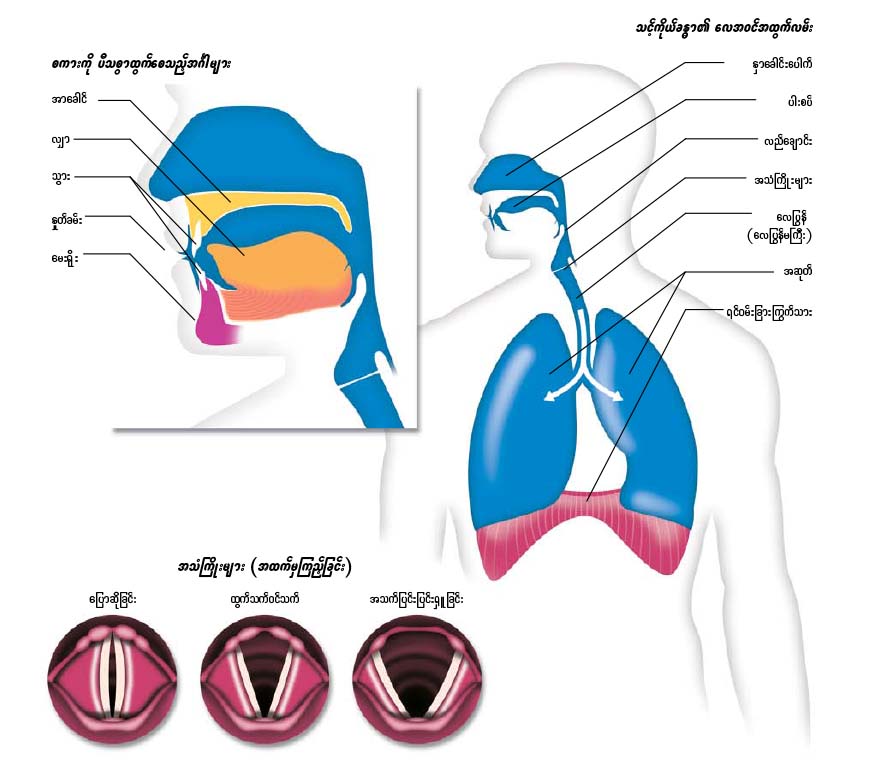 စာမျက်နှာ ၁၈၃ ပါ ပုံကြမ်း