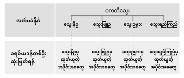 သွေးအစိတ်အပိုင်းကြီး လေးမျိုးနဲ့ သွေးအပိုင်းအစငယ်များ