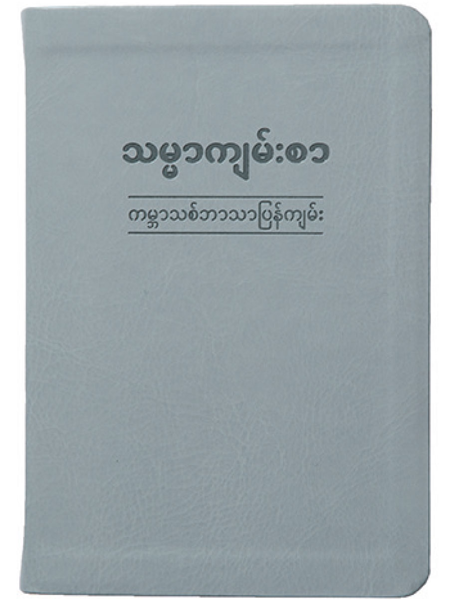 စာမျက်နှာ ၁၁ ပါ ရုပ်ပုံ