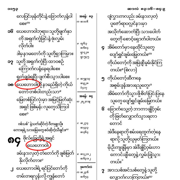 စာမျက်နှာ ၁၃ ပါ ရုပ်ပုံ