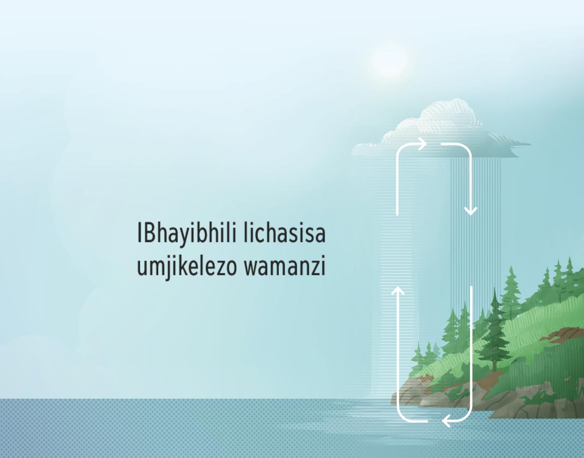 IBhayibhili lisitshela ngomjikelezo wamanzi. Sitshengiswa indlela amanzi asuka ngayo emhlabeni esiya emkhathini.