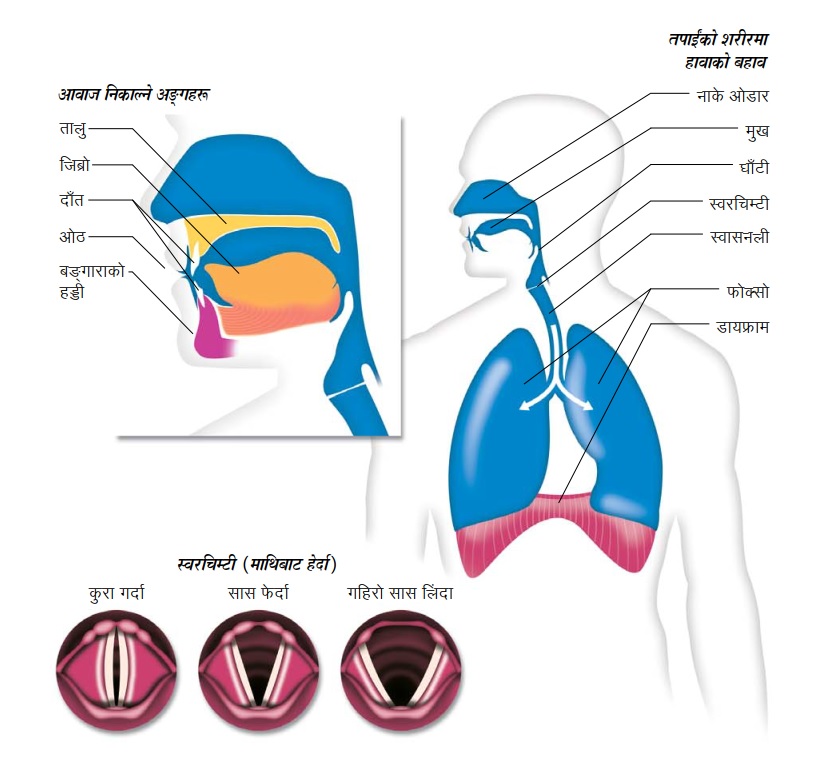 पृष्ठ १८३-मा भएको रेखाचित्र