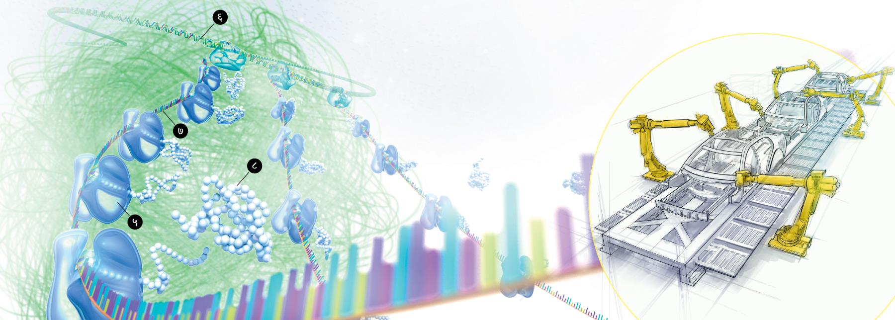 कोषलाई कारखानासित तुलना गरिएको छ