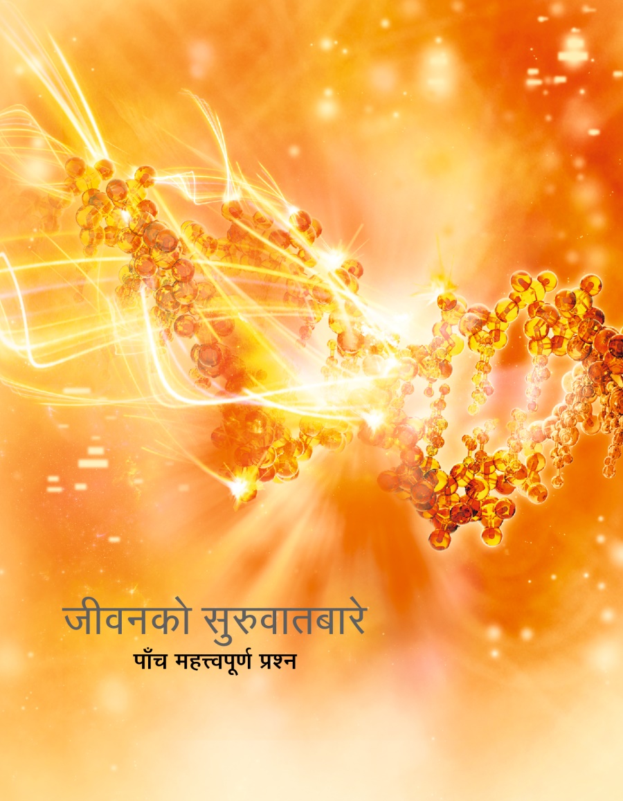 जीवनको सुरुवातबारे पाँच महत्त्वपूर्ण प्रश्‍न