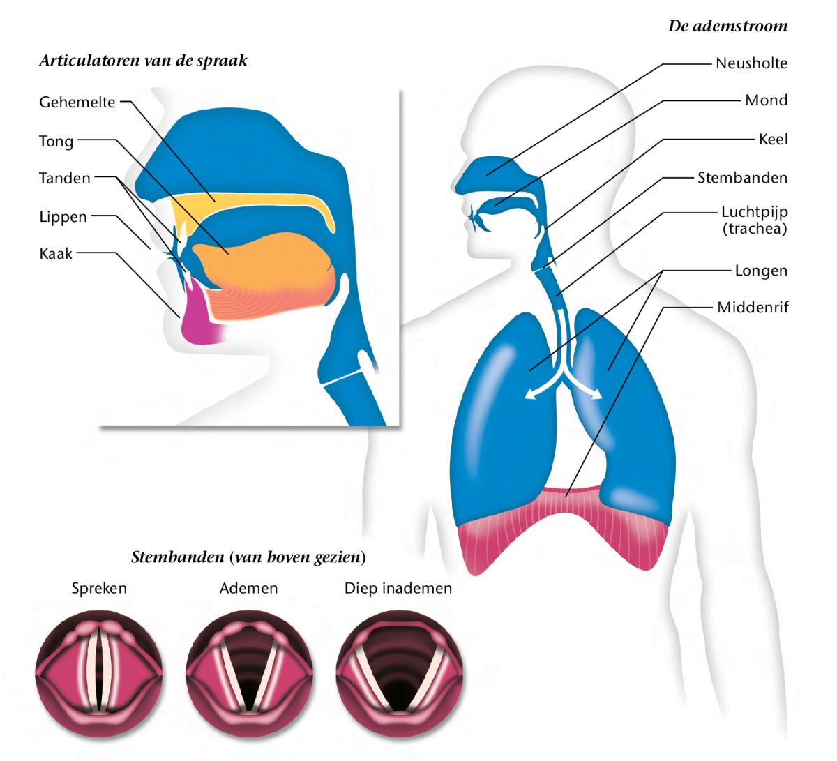 Diagrammen op blz. 183