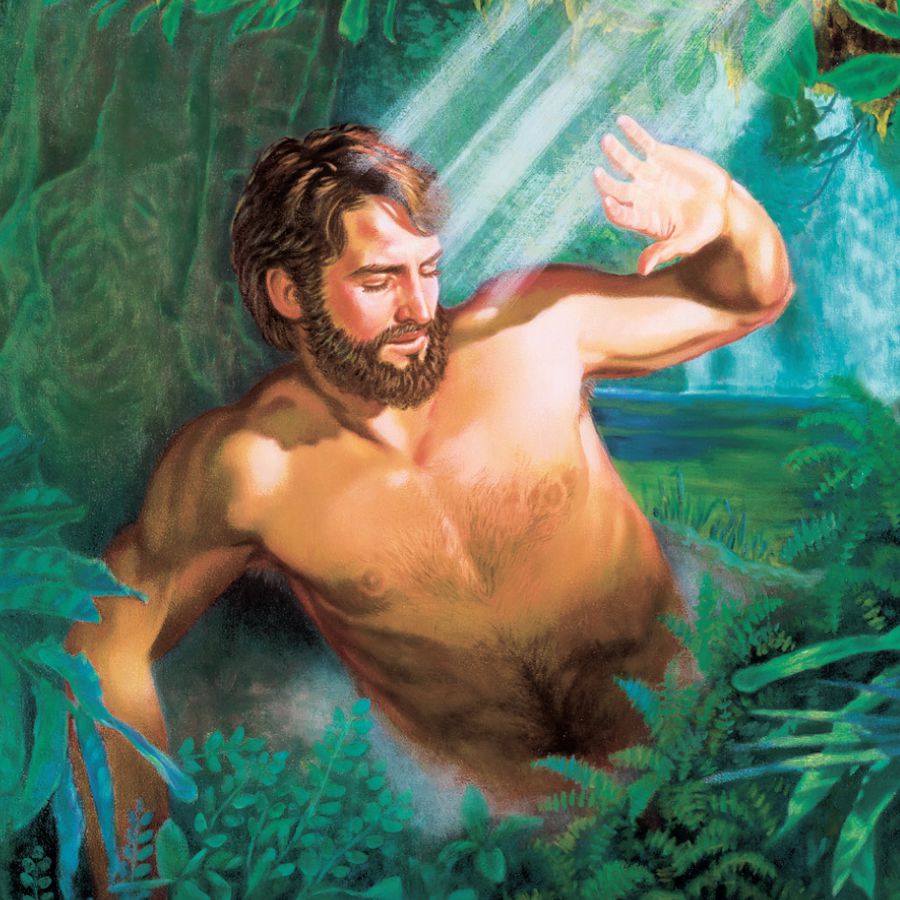 De schepping van Adam