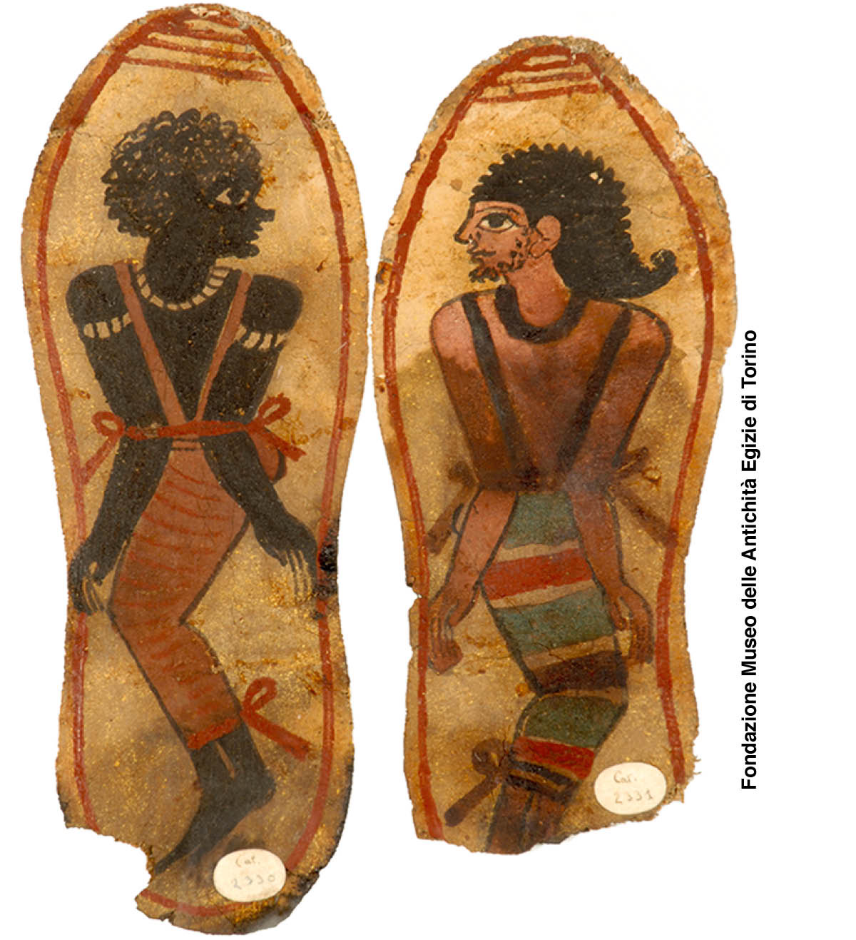 [Illustratie op blz. 231]