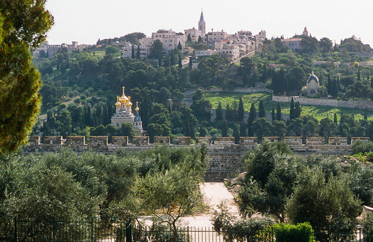 [Illustratie op blz. 816]