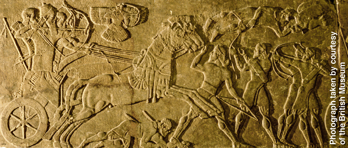 [Illustratie op blz. 956]