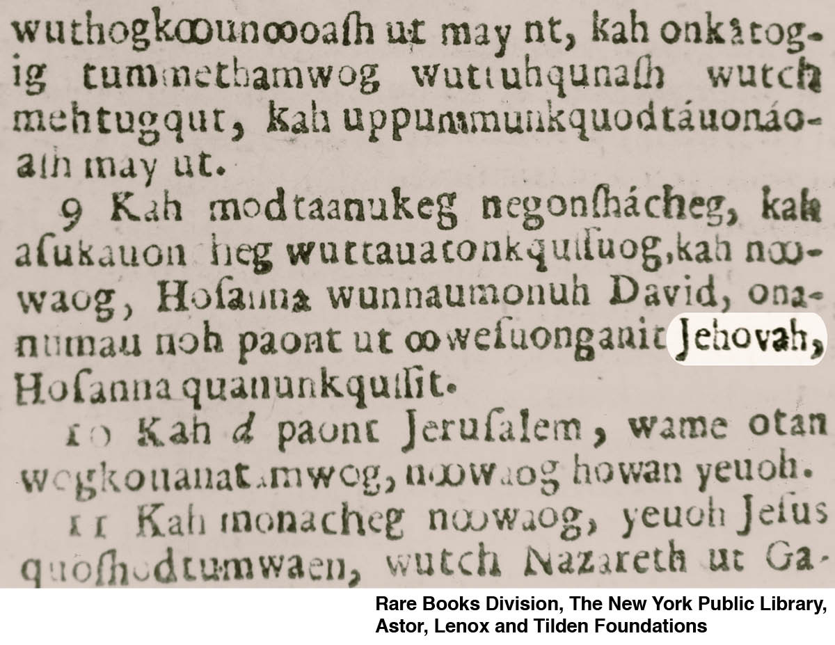 [Illustraties op blz. 1221]