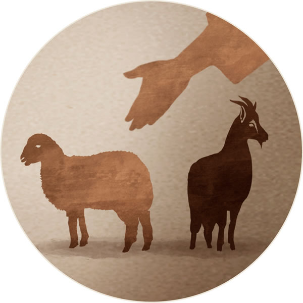 De schapen die van de bokken worden gescheiden