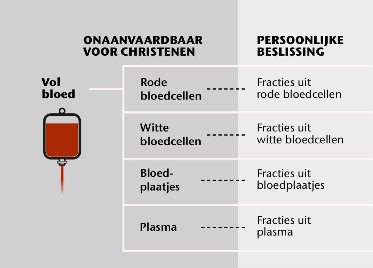 Bloed, de vier hoofdbestanddelen en bloedfracties