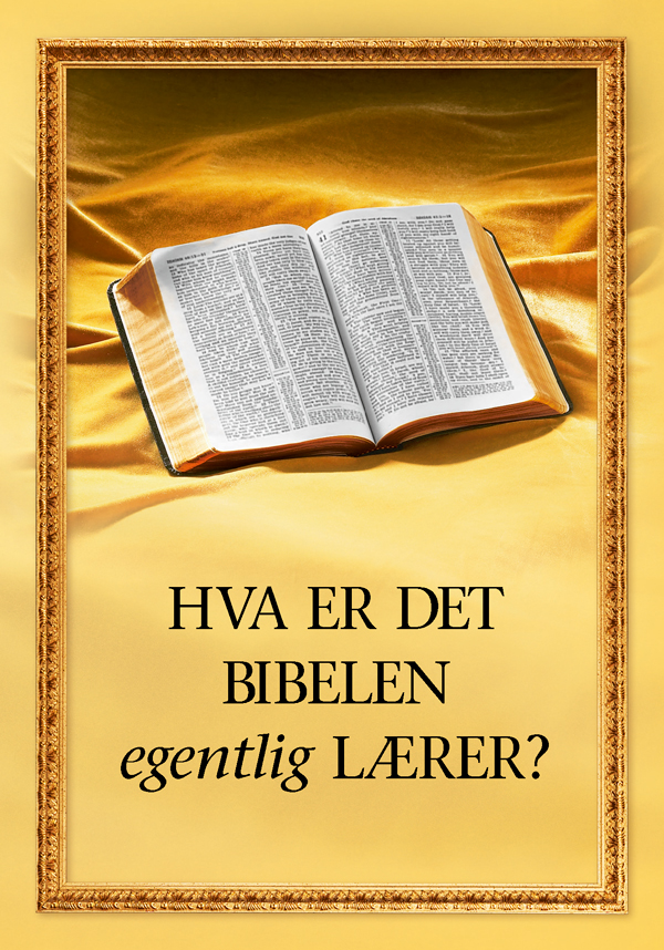 En åpen bibel og tittelen på boken: «Hva er det Bibelen egentlig lærer?»