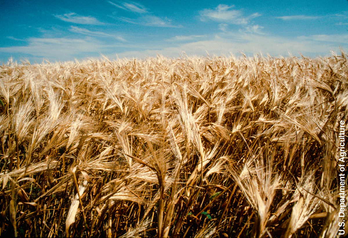 [Bilde på side 741]