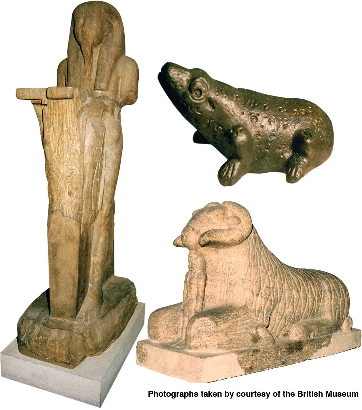 [Bilder på side 530]