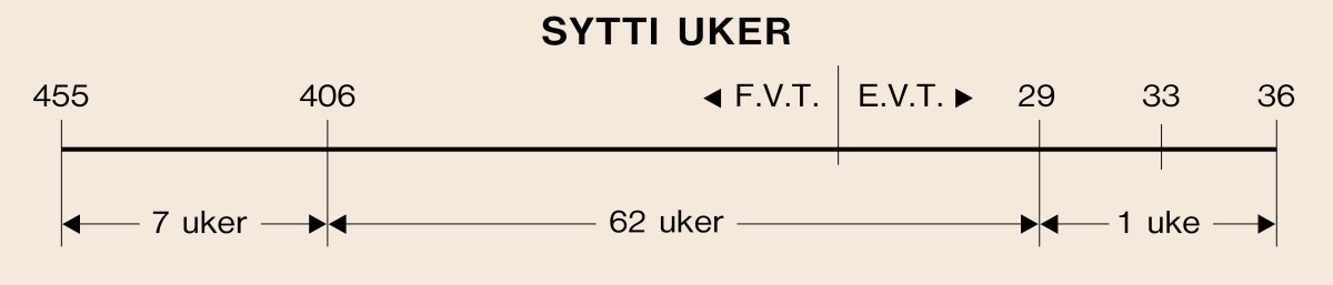 [Diagram på side 1027]