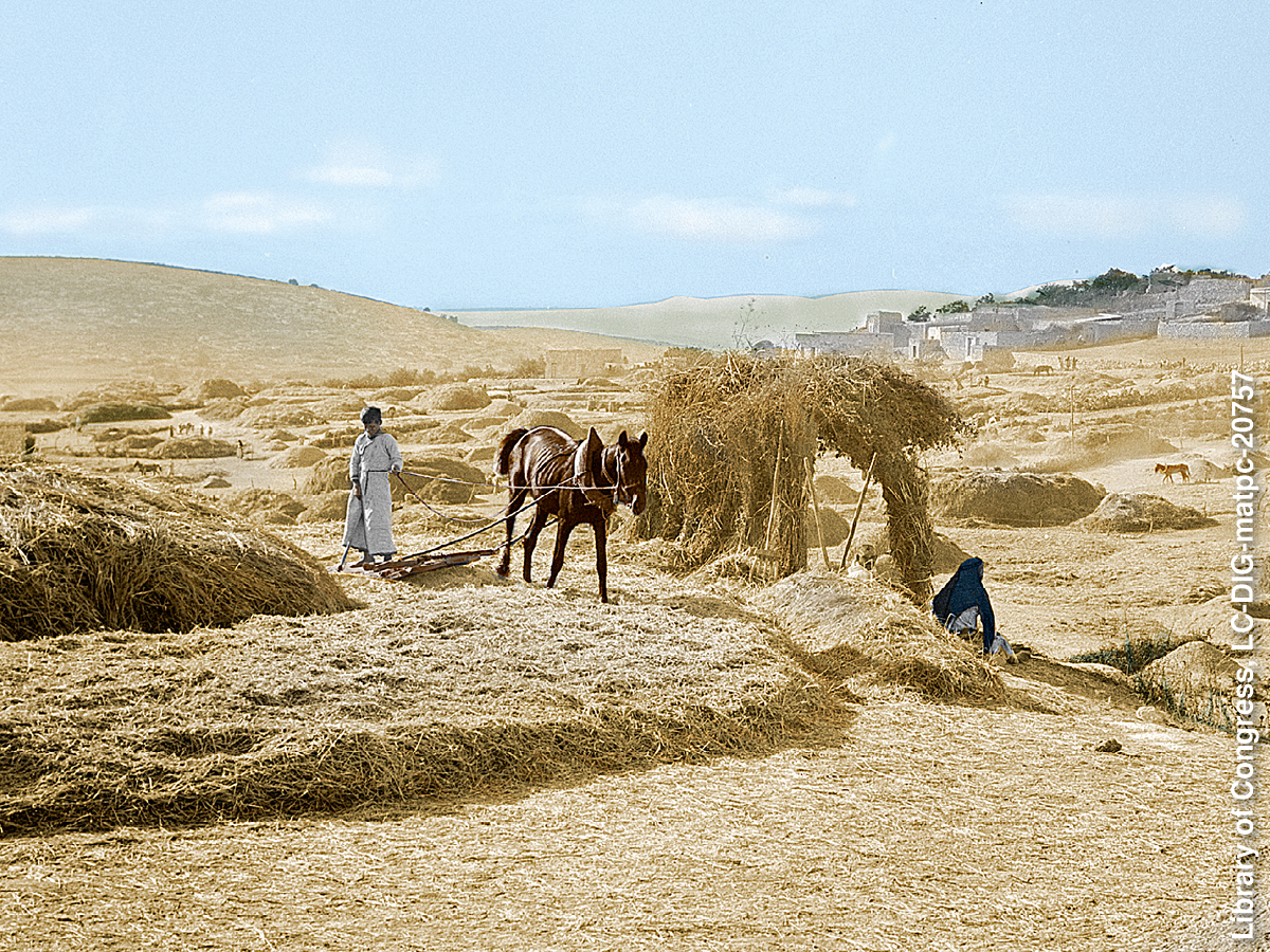 [Bilde på side 953]