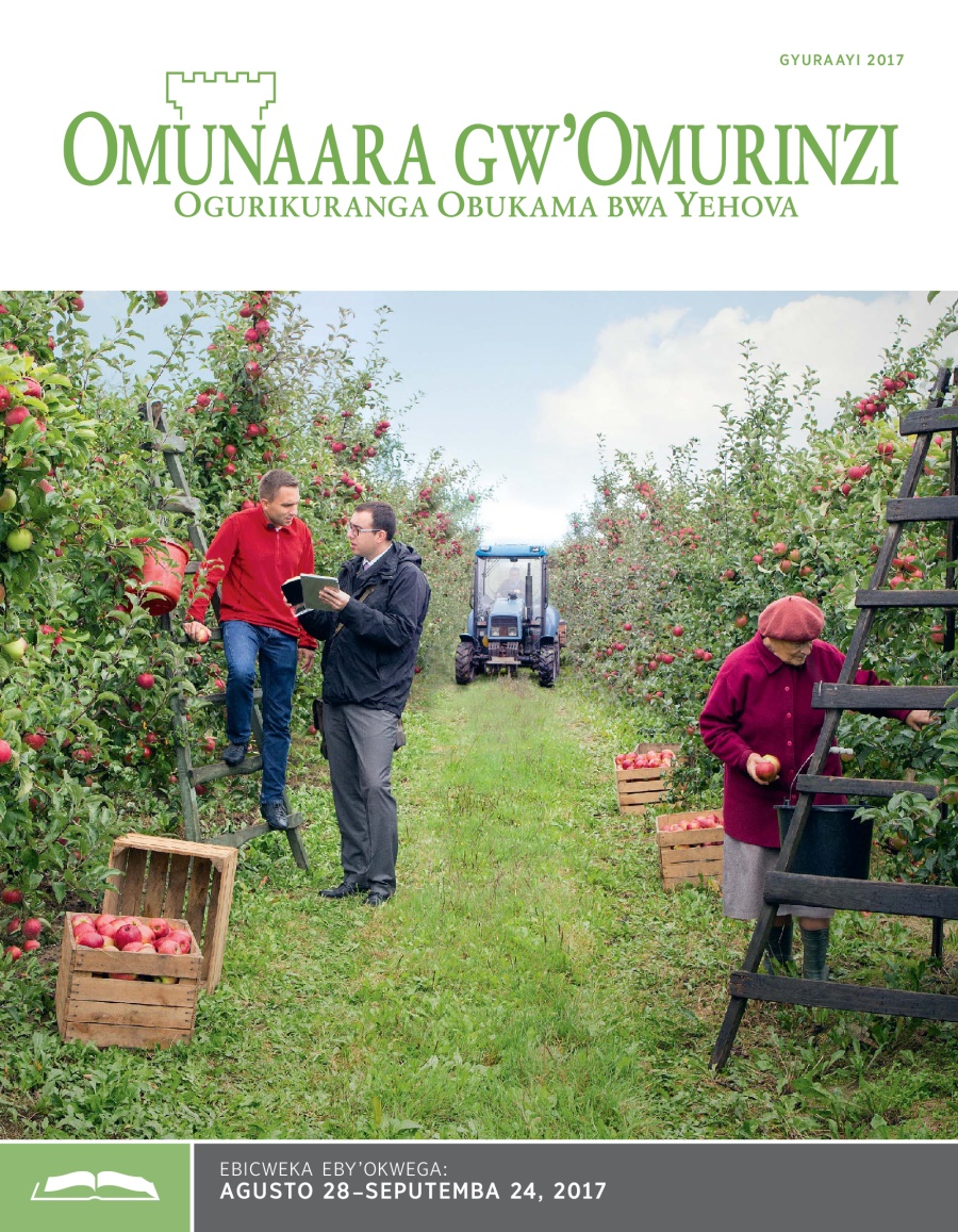 Omunaara gw’Omurinzi, Gyuraayi 2017