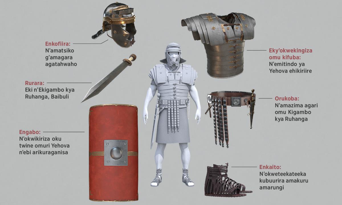 Ebishushani: Byona ebiri aha kijwaro ky’eby’okwerindisa eky’omwoyo byetooroire Omuserukare Omurooma obijwaire. Ebishushani ebya buri kimwe biri n’omu kacweka 5-11.