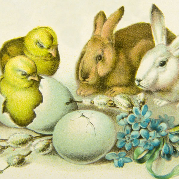 Easter asoasoa, ngɔkɔlɛ mralɛ, nee aholonvia