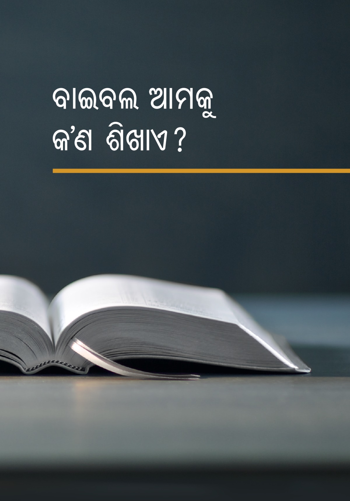 ବାଇବଲ ଆମକୁ କ’ଣ ଶିଖାଏ ?