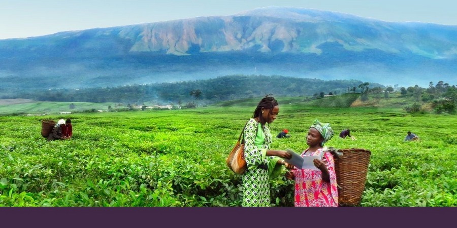Камеруны хъусынгӕнӕг хорз хабары тыххӕй дзуры, цайгӕрдӕг чи ӕмбырд кӕны, ахӕм сылгоймагӕн