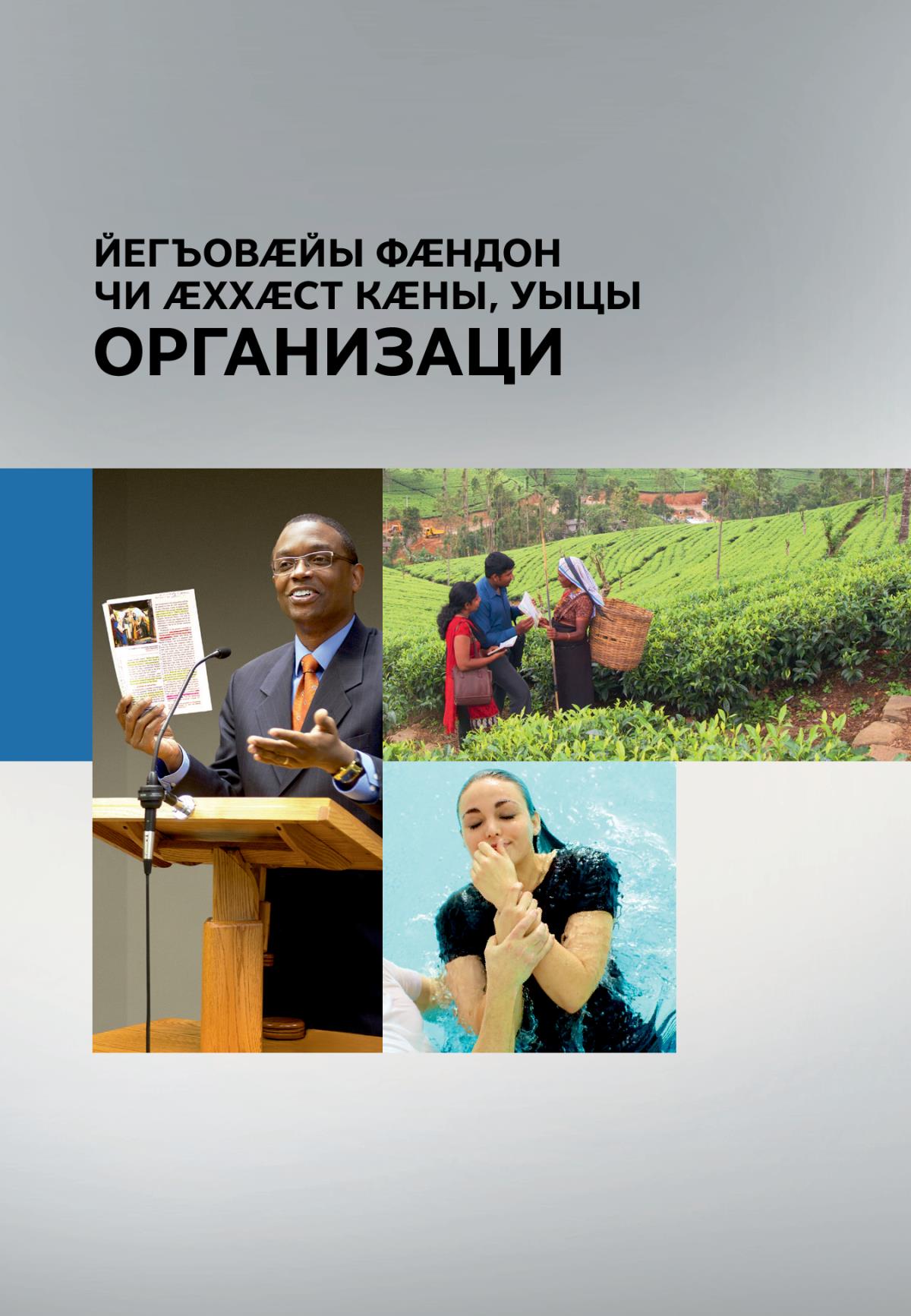 Cover of the book Organized to Do Jehovah’s Will