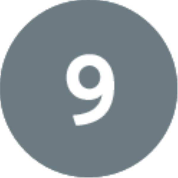 9-ӕм пехуымпарад