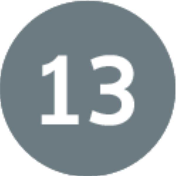 13-ӕм пехуымпарад