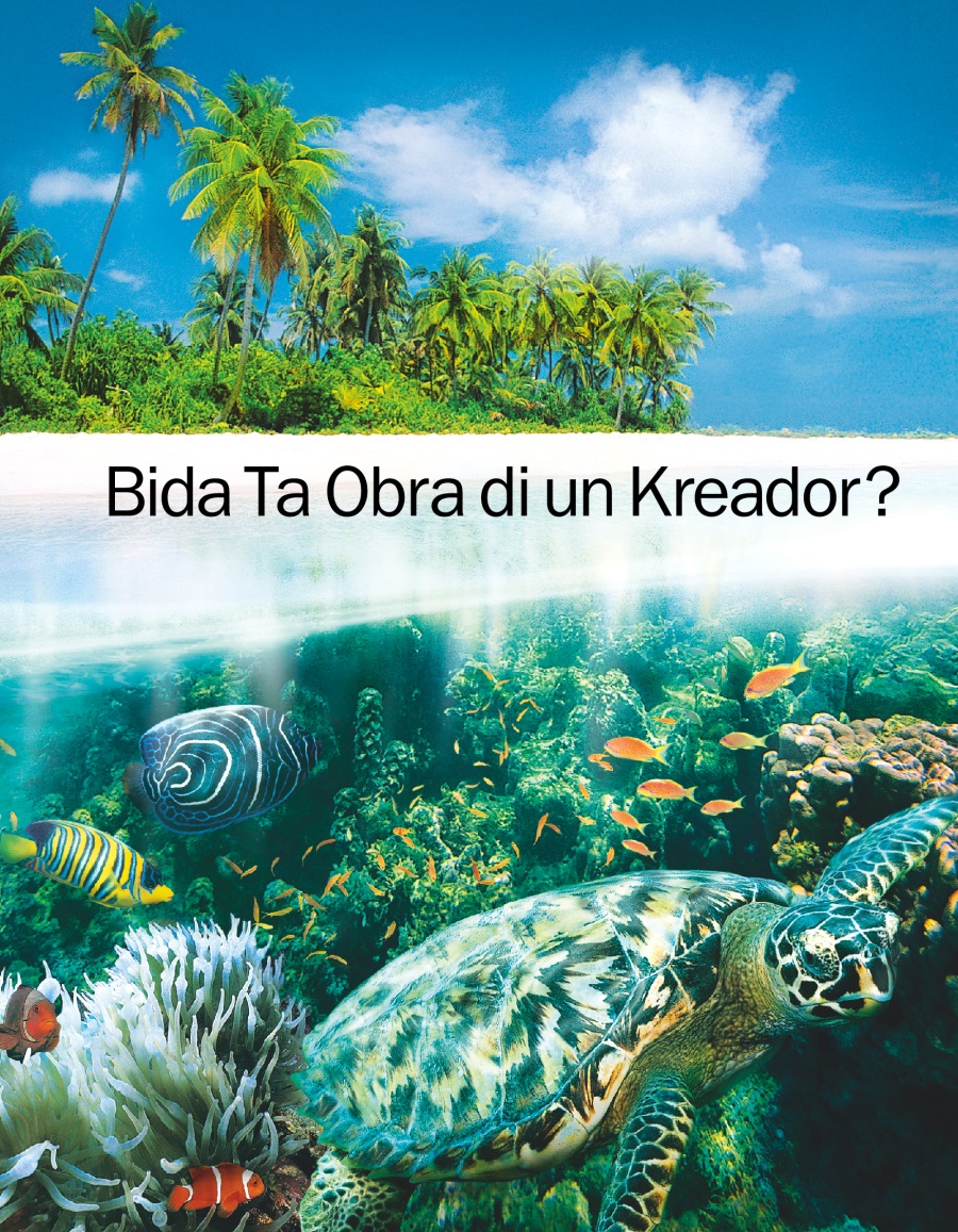 Bida Ta Obra di un Kreador?