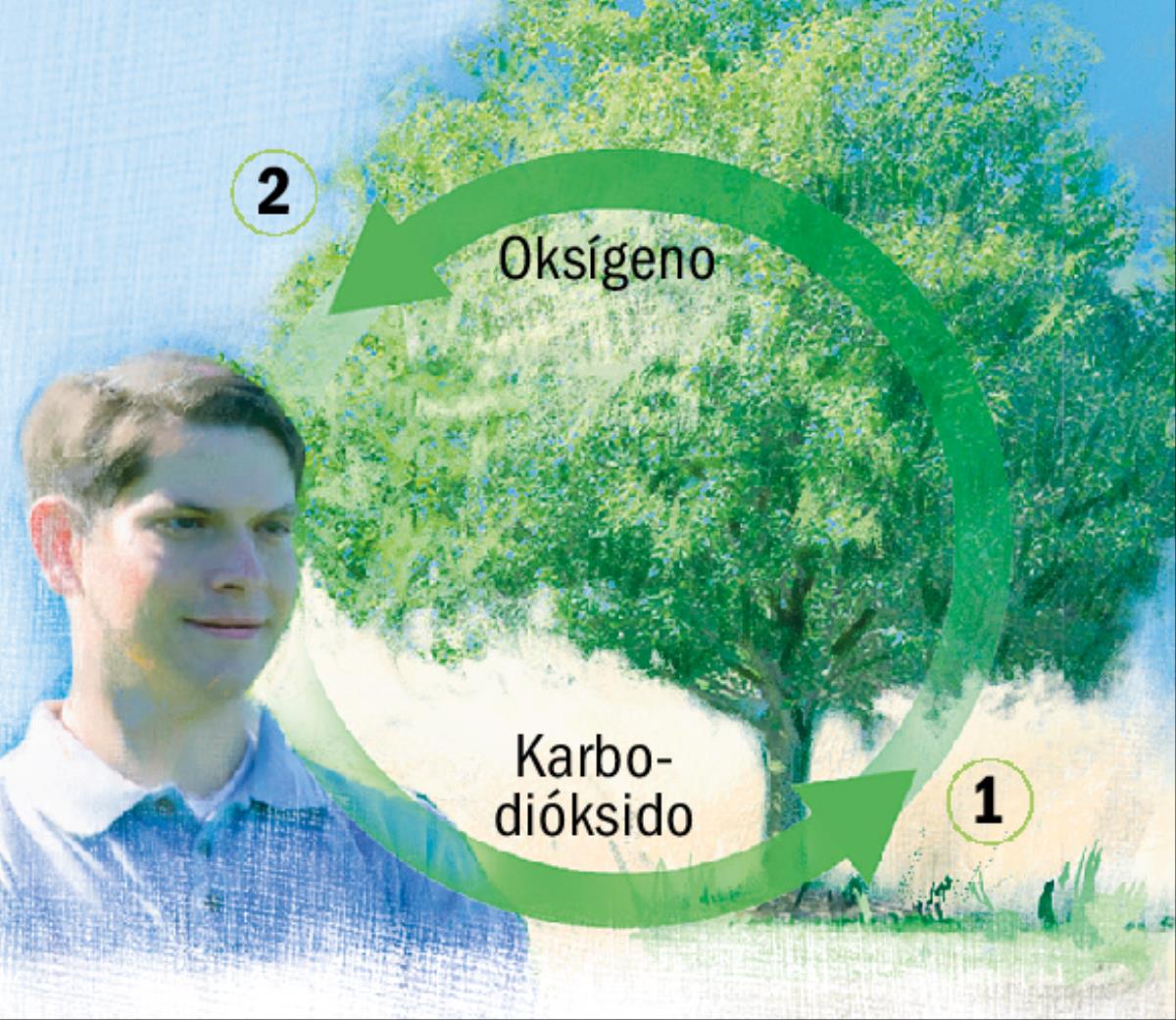 Siklo di karbon i oksígeno