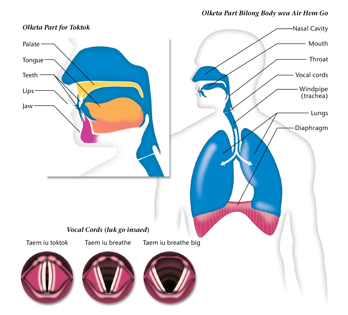 Olketa Diagram long page 183