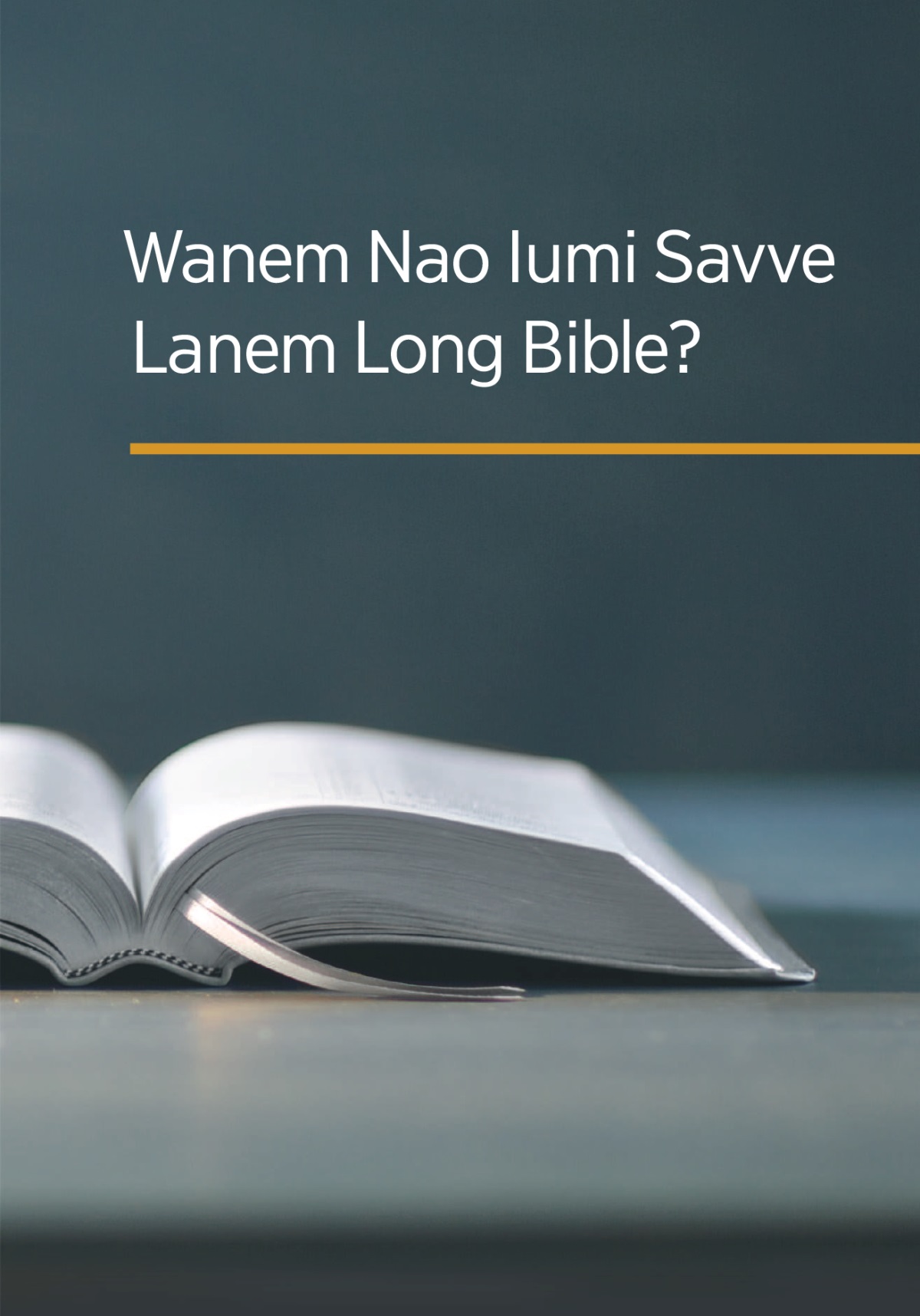 Datfala buk ‘Wanem Nao Iumi Savve Lanem Long Bible?’
