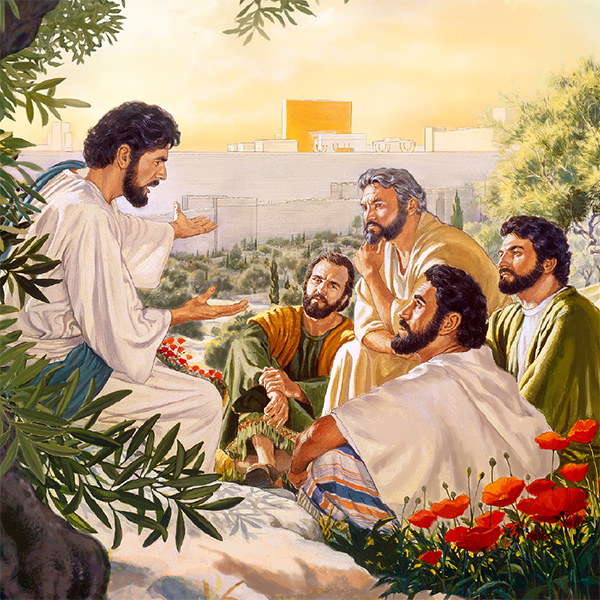 Jesus story witim samfala disaepol bilong hem long Maunt Olive Tree