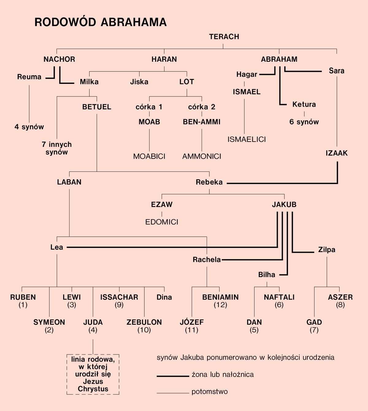 [Diagram na stronie 29]