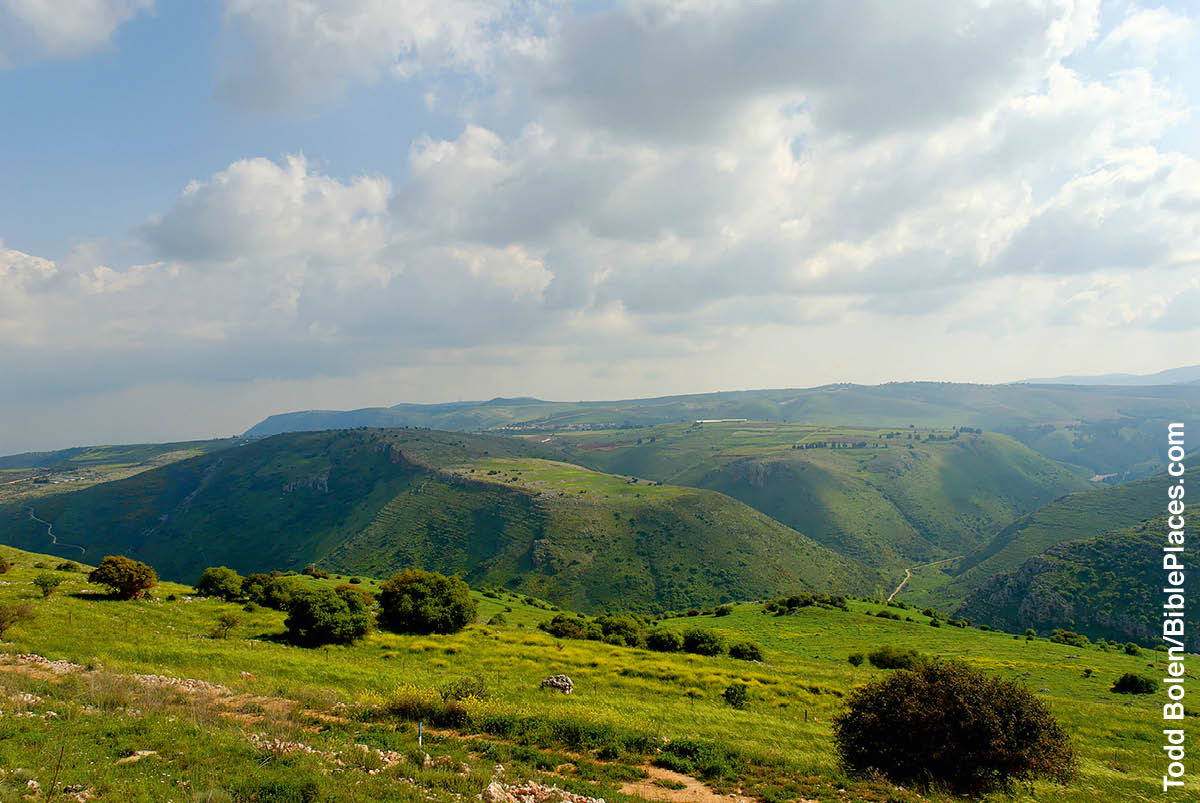 [Ilustracja na stronie 331]