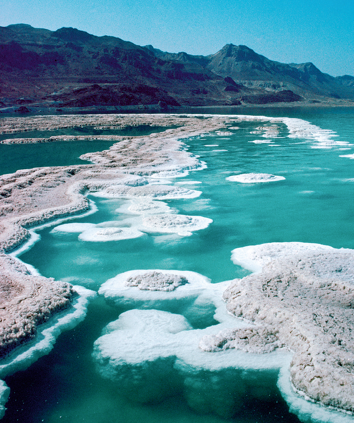 [Ilustracja na stronie 336]