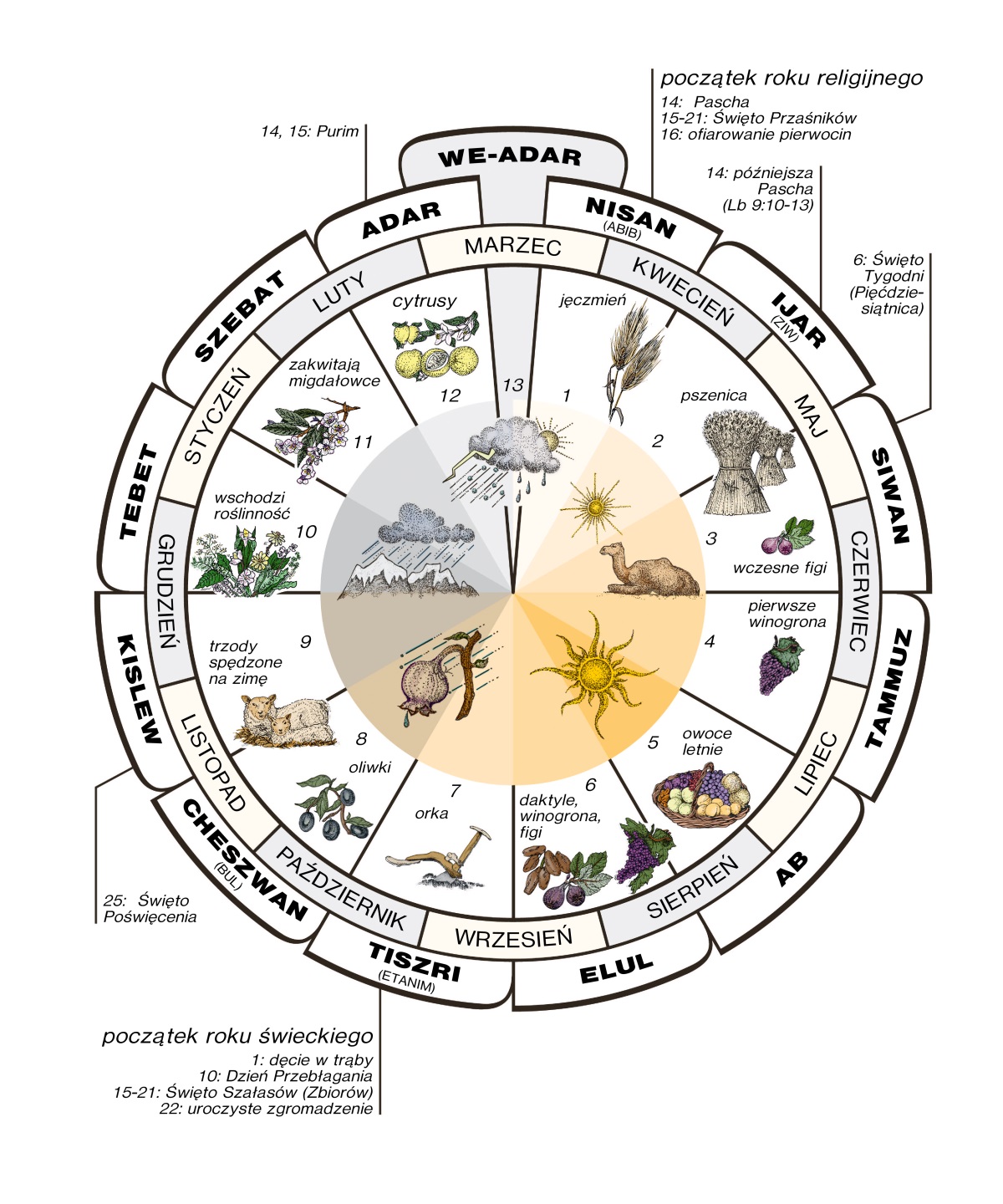 [Diagram na stronie 1053]