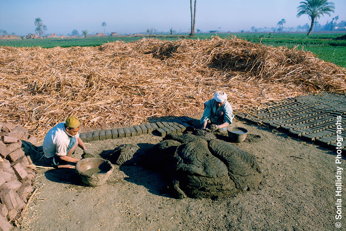 [Ilustracja na stronie 535]