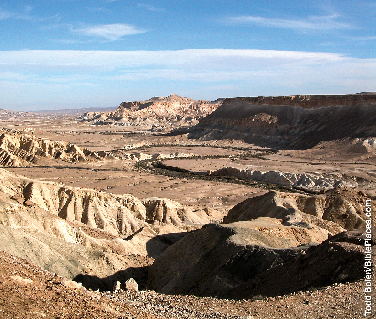 [Ilustracja na stronie 542]