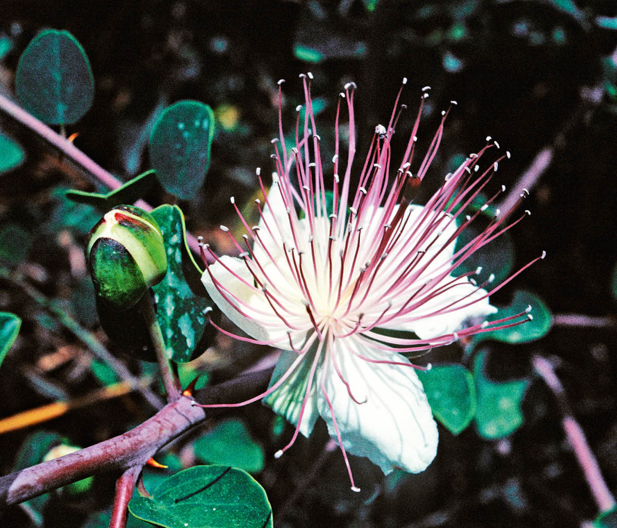 [Ilustracja na stronie 543]