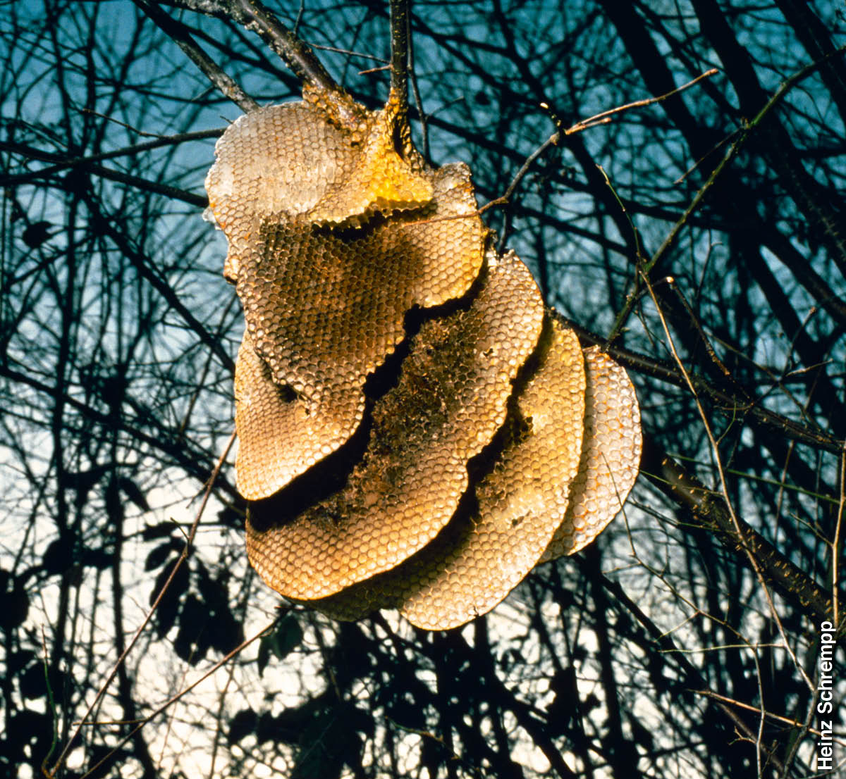 [Ilustracja na stronie 740]