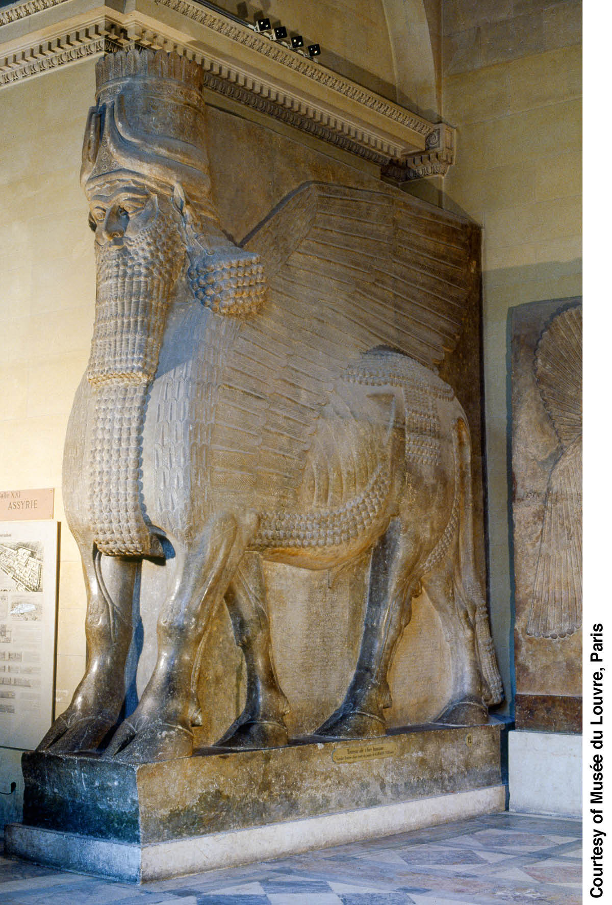 [Ilustracja na stronie 955]