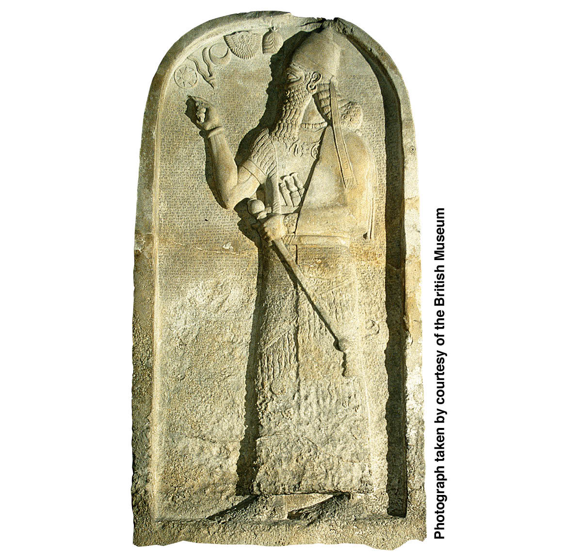 [Ilustracja na stronie 956]