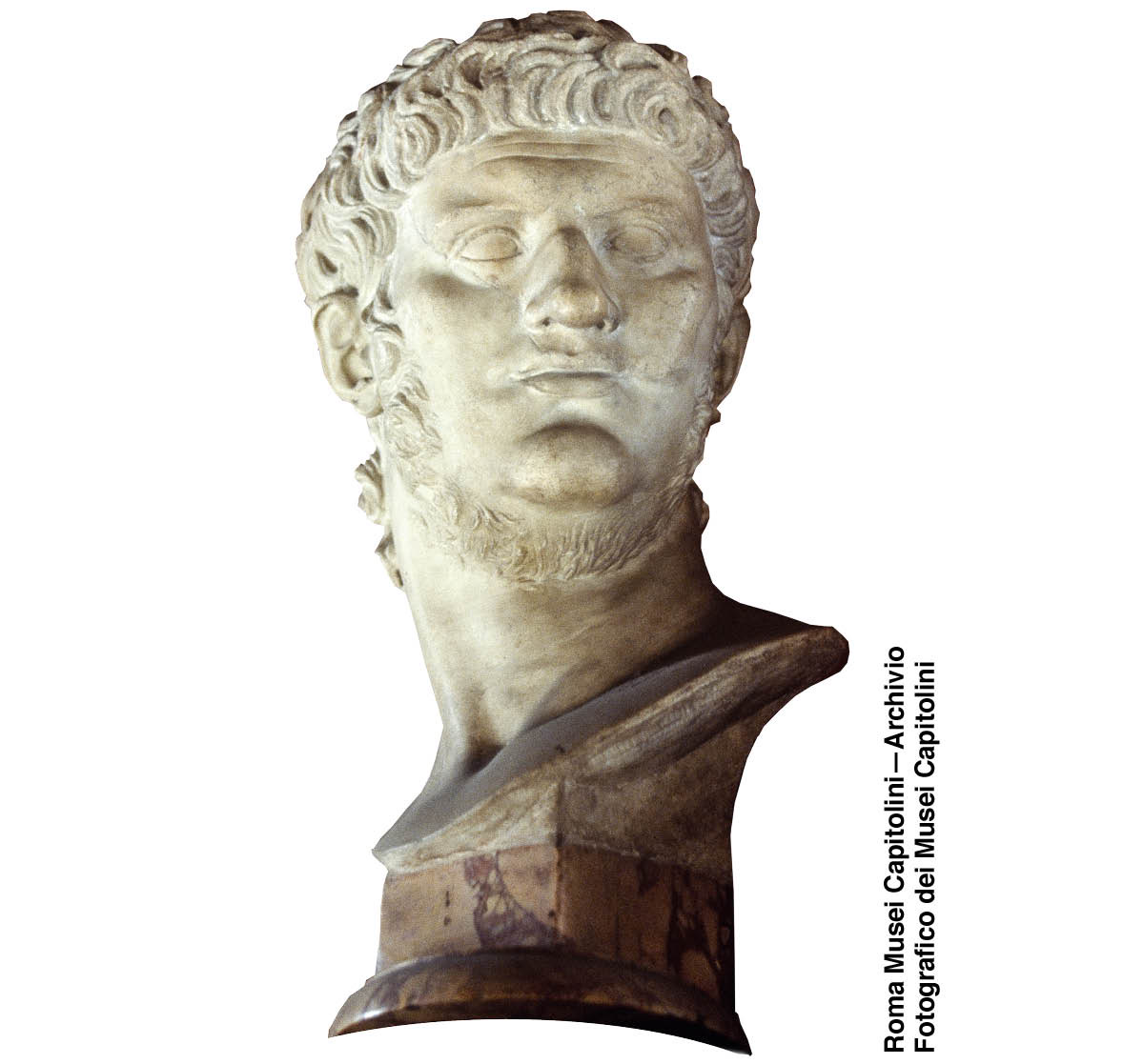 [Ilustracja na stronie 534]