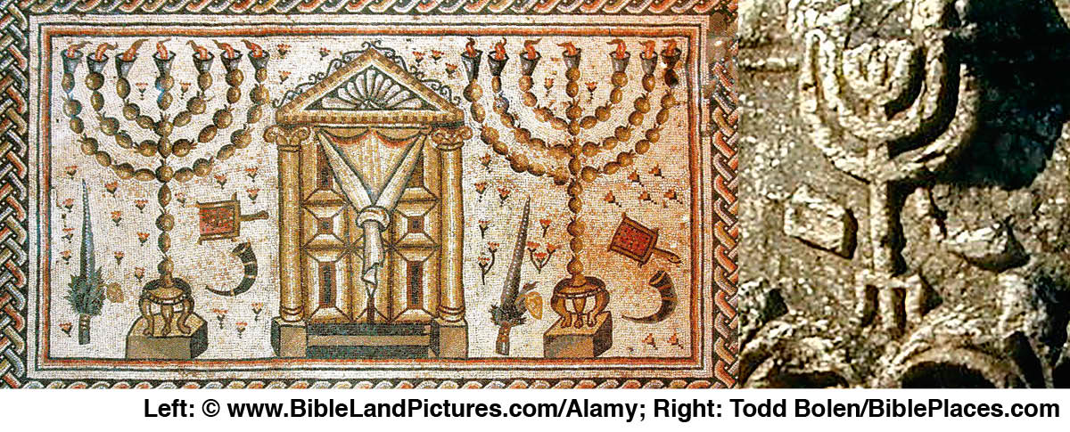 [Ilustracje na stronie 901]