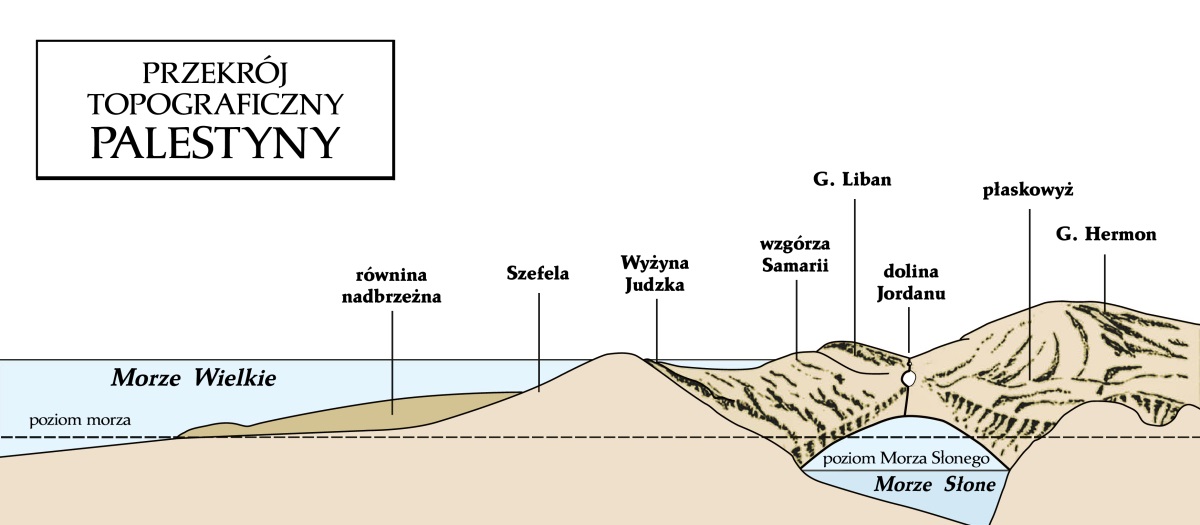 [Ilustracja na stronie 292]