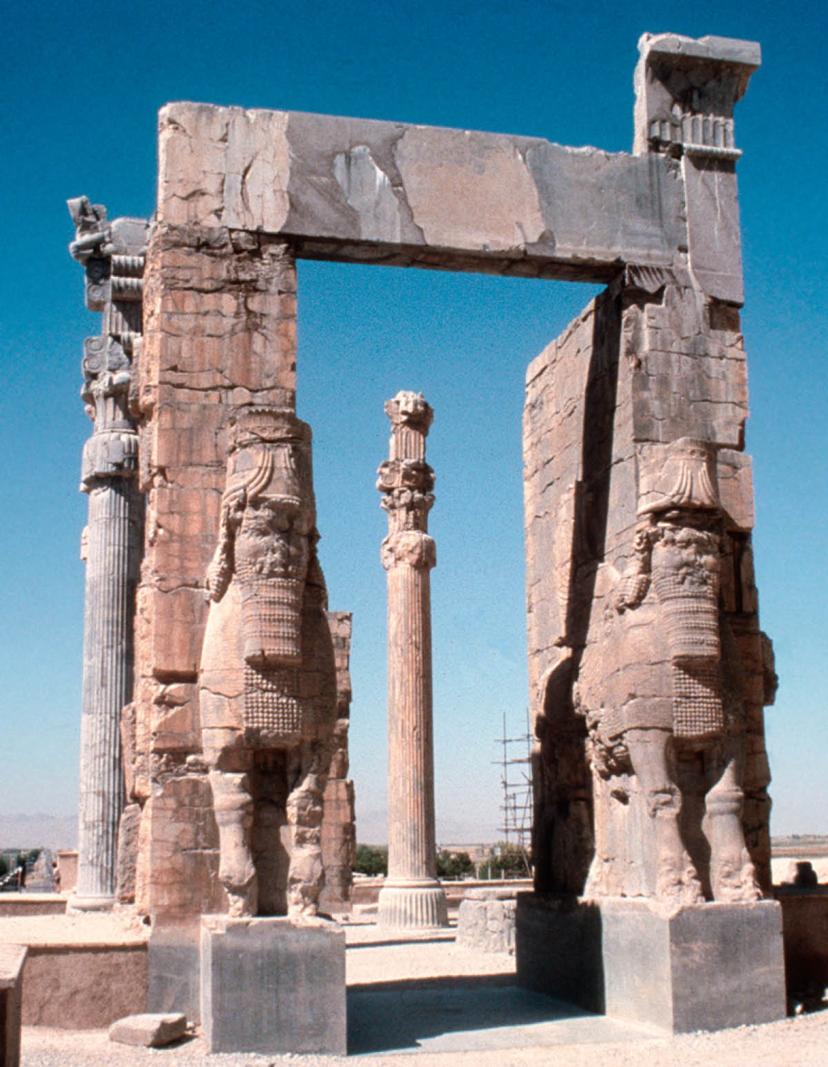 [Ilustracja na stronie 342]