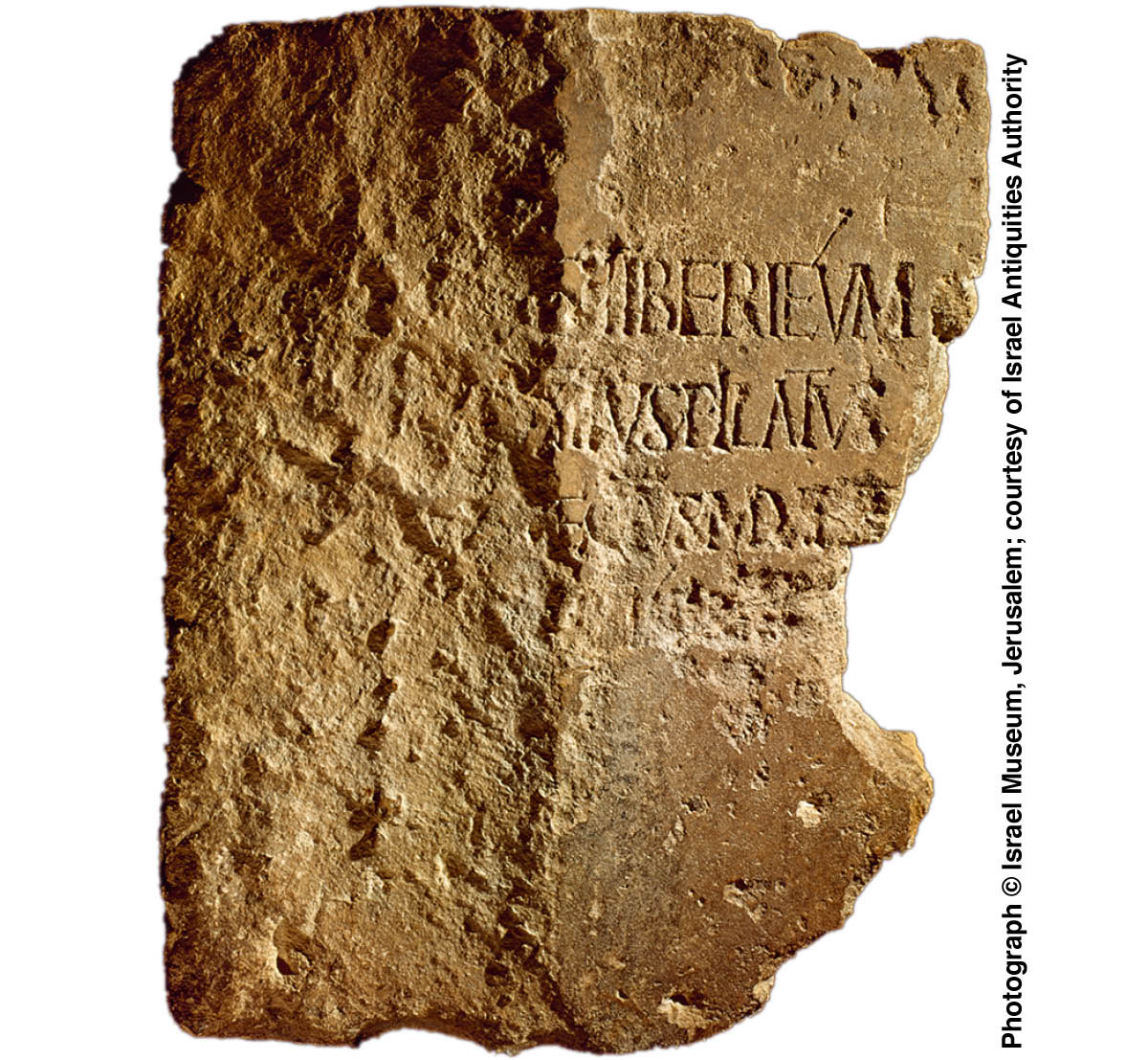 [Ilustracja na stronie 371]